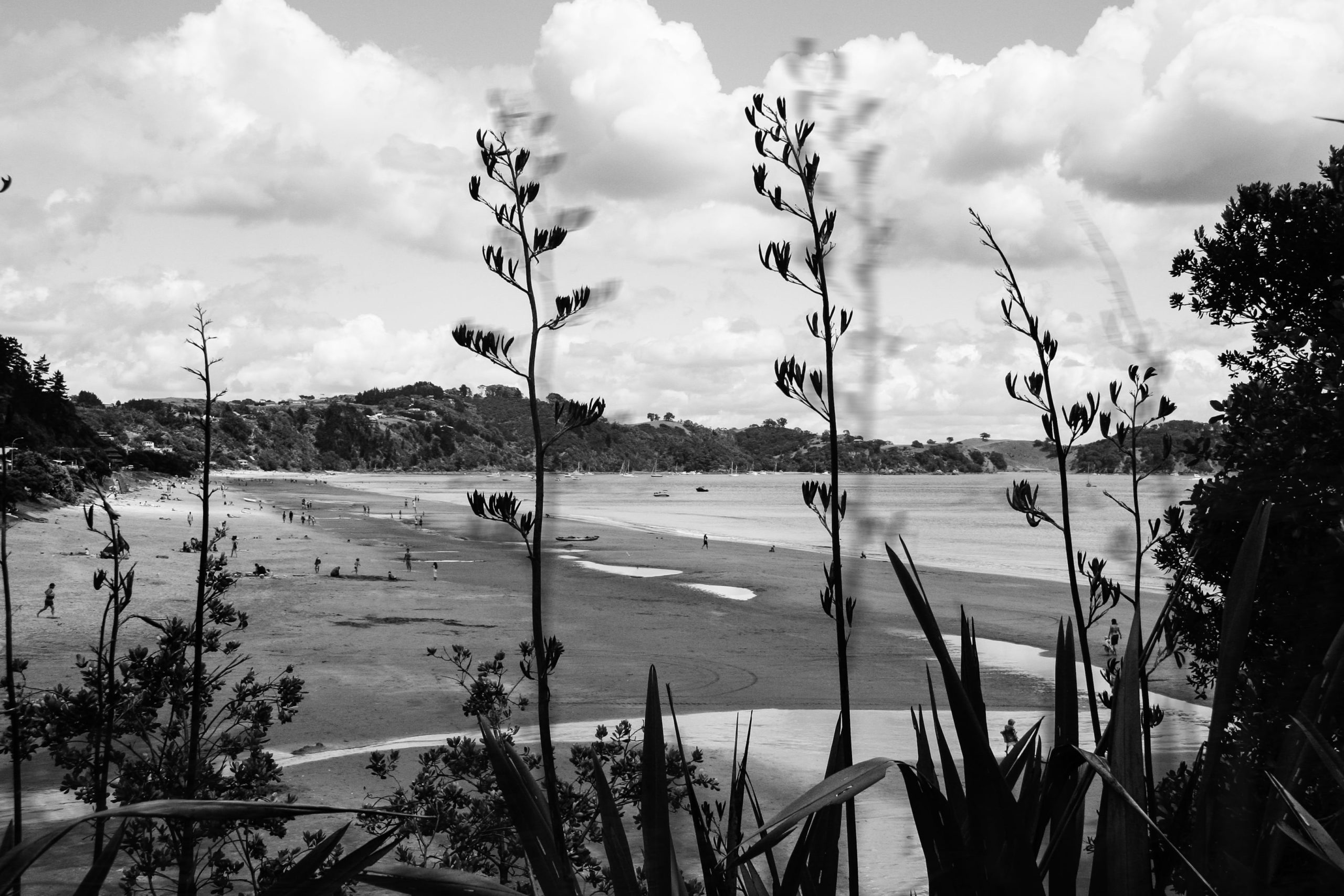 Man O' War, Waiheke Island, Auckland